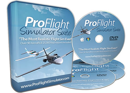 Real Flight Simulator